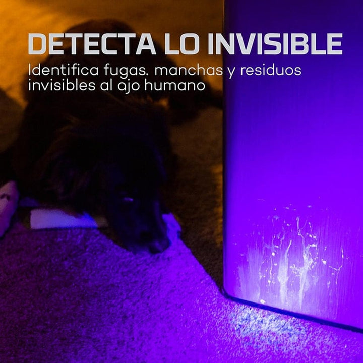 Linterna Ultravioleta UV Nebo Torchy