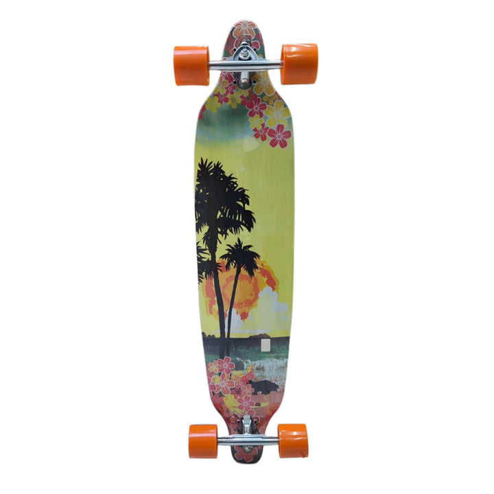 Longboard Phoenix Urban Surfer 41"